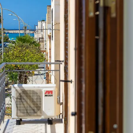 Agave Superior * San Vito Lo Capo